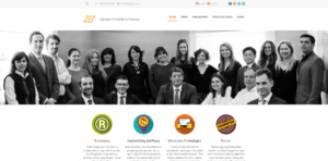 Salvador Ferrandis & Partners