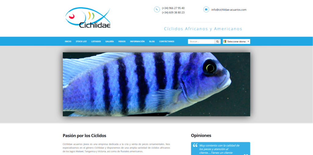 Cichlidae Acuarios Jávea